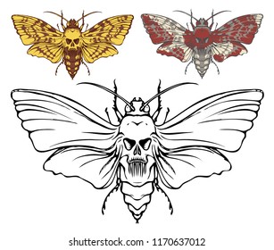 Illustration of a butterfly Dead head with a skull-shaped pattern on the thorax. Vector banner with realistic moth close up top view, black and white and colored