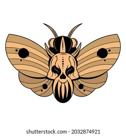 Illustration of a butterfly Dead head with a skull-shaped pattern on the thorax. Vector banner with realistic moth close up top view, black and white and colored
