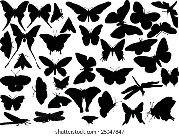 illustration with butterfly and dragonfly silhouettes collection isolated on white background