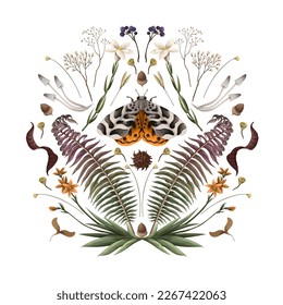 Illustration with butterfly, fern and flowers. Vector.