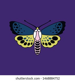 Illustration of butterfly in a flat style 