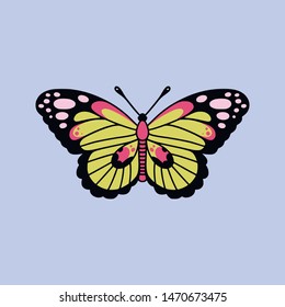 Illustration of butterfly in a flat style 
