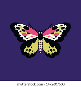 Illustration of butterfly in a flat style 