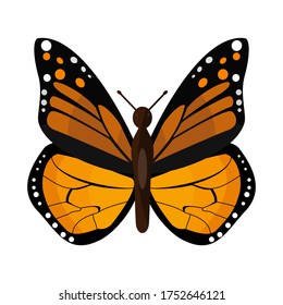 
illustration of a butterfly in a flat style. butterfly theme.