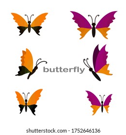 
illustration of a butterfly in a flat style. butterfly theme.