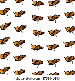 
illustration of a butterfly in a flat style. butterfly theme.