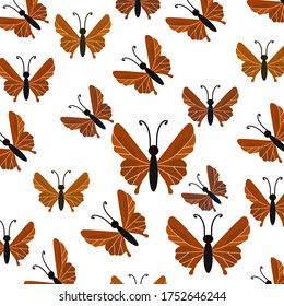 
illustration of a butterfly in a flat style. butterfly theme.