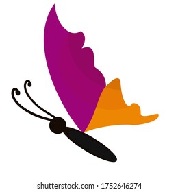 
illustration of a butterfly in a flat style. butterfly theme.