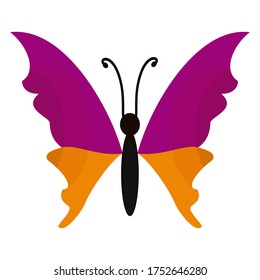 
illustration of a butterfly in a flat style. butterfly theme.