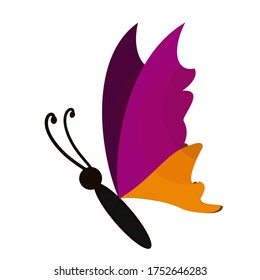 
ilustración de una mariposa en un estilo plano. tema de mariposa.