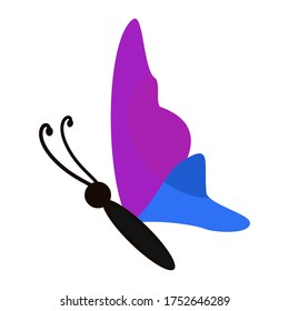 
ilustración de una mariposa en un estilo plano. tema de mariposa.