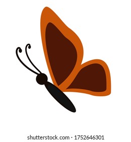 
illustration of a butterfly in a flat style. butterfly theme.