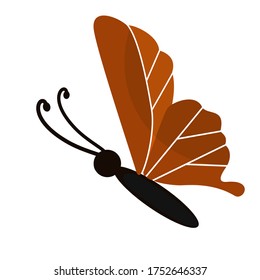 
illustration of a butterfly in a flat style. butterfly theme.