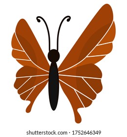 
illustration of a butterfly in a flat style. butterfly theme.