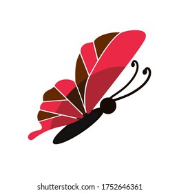 
illustration of a butterfly in a flat style. butterfly theme.