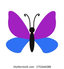 
illustration of a butterfly in a flat style. butterfly theme.