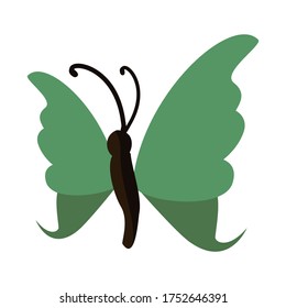 
illustration of a butterfly in a flat style. butterfly theme.