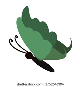
illustration of a butterfly in a flat style. butterfly theme.
