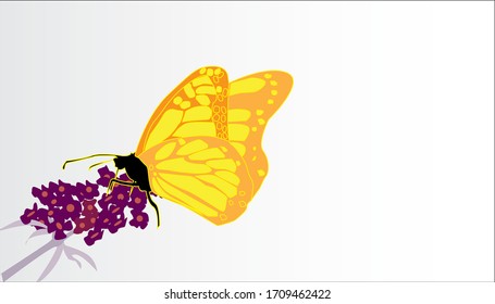 Illustration of a butterfly flying and perched on a flower looking for food
