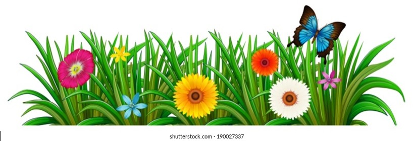 Illustration of a butterfly in the garden with blooming flowers on a white background