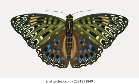 Illustration of a butterfly with green, brown, and blue wings. Butterfly wings display intricate patterns. Butterfly art with detailed wing design. Vintage butterfly illustration isolated, vector.