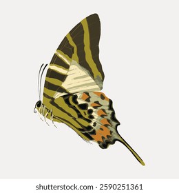 Illustration of a butterfly with green and orange patterns. Detailed butterfly wings. Side view of a butterfly on a light background. Vintage animal illustration vector.