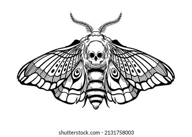 illustration butterfly insect wings Acherontia atropos