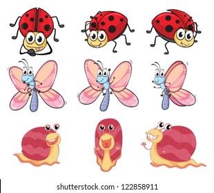 Illustration of a butterfly, a ladybug and a snail on a white background