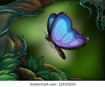 Illustration of a butterfly in the rainforest