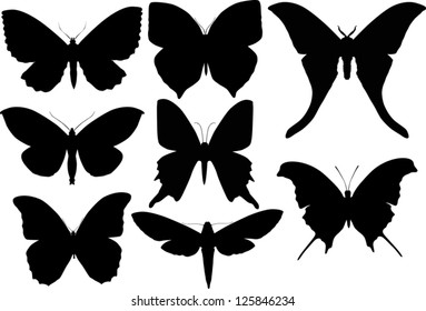 illustration with butterfly silhouettes collection isolated on white background