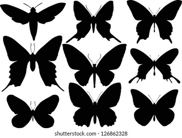 illustration with butterfly silhouettes collection isolated on white background