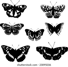 illustration with butterfly silhouettes collection isolated on white background
