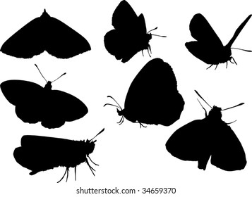 illustration with butterfly silhouettes collection isolated on white background