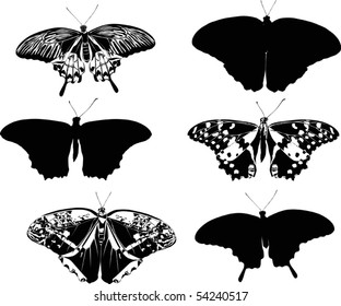 illustration with butterfly silhouettes collection isolated on white background