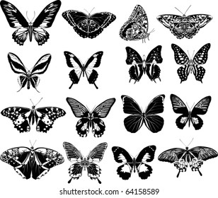 illustration with butterfly silhouettes collection isolated on white background