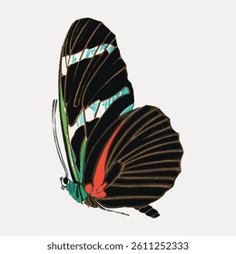 Illustration of a butterfly with vibrant colors. The butterfly features red, green, and blue accents. Butterfly art with detailed wings. Butterfly design on a light background. Vintage insect vector.