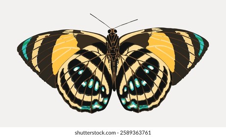 Illustration of a butterfly with vibrant yellow and black wings. The butterfly features intricate patterns and detailed wing designs. Butterfly art in nature. Vintage animal illustration vector.