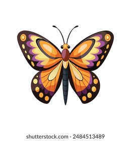 illustration of a butterfly with white background