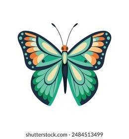 illustration of a butterfly with white background