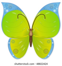 an illustration of butterfly for your design project.