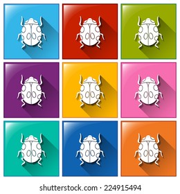 Illustration of the buttons with beetles on a white background    
