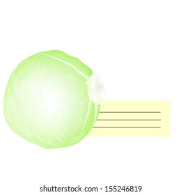 Illustration of  cabbage