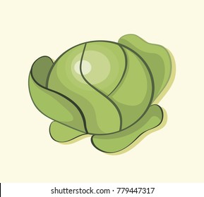 Illustration with cabbage