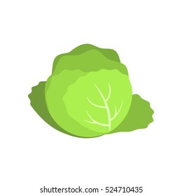 illustration of cabbage with a flat-style isolation. easy to use