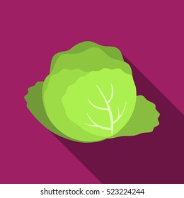 illustration of cabbage with a flat-style isolation with long shadow. easy to use