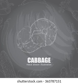 illustration of cabbage, vector illustration chalk drawing style,vegetables background