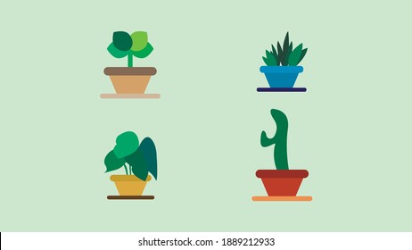 
illustration of cacti on a beautiful background