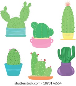 Illustration of cacti. Cacti in pots on a white background. Vector