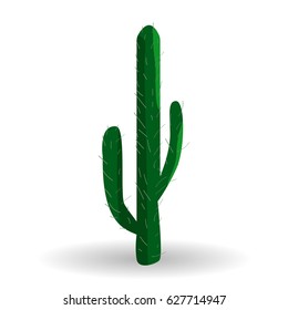 Illustration of cactus
