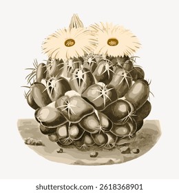 Illustration of a cactus with blooming flowers. The cactus features round shapes and spiky details. The flowers add a vibrant touch to the cactus design. Vintage flower illustration vector.